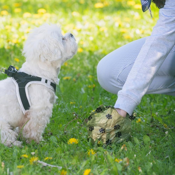 Biodegradable Pet Waste Bags